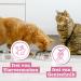 Catz Finefood MEATZ Turkey Cat Treats - 100% Turkey Meat Grain-Free No Sugar Allergy-Friendly (45g) - Buy Online on GoSupps.com