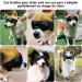 Dog Sunglasses - UV Protection Waterproof Glasses for Medium & Large Dogs - Stylish Pet Eye Protection - Buy Online on GoSupps.com
