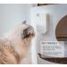 Doxie Pet Odor Remover & Air Purifier with UV-C Light Deodorizer | Eliminates Germs, Mold, and Pet Smells | Room Freshener for Small Spaces - Buy Online on GoSupps.com