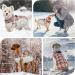 Kuoser Warm Dog Jacket - Reflective Windproof Winter Coat for Small & Large Dogs - Fashionable Red Coat with Dishes - Buy Online on GoSupps.com