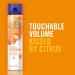 Herbal Essences Body Envy Va-Va-volumizing Hairspray 17 Fluid Ounce Volumizing Spray - Buy Online on GoSupps.com