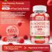 Magnesium Carbonate 500mg Gummies Sugar Free Magnesium Carbonate Supplement with Probiotic Calcium Vitamin D3 Zinc for Bone Muscle & Digestive Support Raspberry Flavor - 60 Gummies - 30 Servings - Buy Online on GoSupps.com
