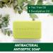 Tea Tree Oil and Eucalyptus Soap Bar - Made In U.K Tea Tree Antifungal Scrub Soap Bar for Acne Spots Blackheads | Paraben and Cruelty FREE - 100g - Buy Online on GoSupps.com