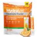 Hydralyte Electrolyte Powder Packets | Orange Hydration Packets | Easy Dissolve Electrolyte Powder for Rehydration Solutions | Low Sugar Hydration Powder Packets | All Natural (8 oz Serving, 20 Count) Orange 20 Count (Pack