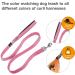 Shop Basic Pink Leash - Durable & Stylish L L Rosa | International Shipping Available - Buy Online on GoSupps.com