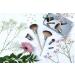 EcoTools Daily Essentials Face Kit - 5 Brushes, 2 Handles, Storage Tin | Interchangeable Makeup Brush Set - Buy Online on GoSupps.com