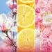 KIFRA MAGNOLIA Concentrated Laundry Fragrance 200ml - Long-lasting Scent for 80 Washes - Buy Online on GoSupps.com