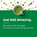 Buy Amazing Grass Green Superfood Immunity Powder - Tangerine Flavor, 7.4 oz - Buy Online on GoSupps.com