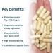 Organika Biocell Collagen- Type 2 Collagen Hyaluronic Acid Chondroitin Sulfate Joint Support- 180caps & MSM- Joint and Inflammation Support- 180caps SUPPLEMENT + SUPPLEMENT 620365012878 - Buy Online on GoSupps.com