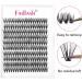 Cluster Lashes Extensions 30D 0.07 C Curl | 200Pcs Mixed Trays | DIY Eyelash Extensions - Buy Online on GoSupps.com