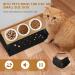 Otoomenz 3PCS Cat Bowl Ceramic Cat Food Bowls With 15 Tilted Wood Stand Raised Cat Bowls for Food and Water Bamboo Cat Feeding Station with Cat Food Mat for Cats and Puppy 3 PCS Bowls - Buy Online on GoSupps.com