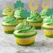 ALEGRE Pack of 24 Lucky Clover Cupcake Toppers St. Patrick's Day Cake Decoration Glitter Horseshoe Muffin Decoration St Patrick's Party Cake Decoration Cupcake Toppers for St. Patricks Baby - Buy Online on GoSupps.com