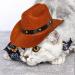 AWOCAN Pet Dog Cowboy Hat Cosplay Cap Puppy Pet Dog Cat Holiday Costume Pet Party Decoration - Buy Online on GoSupps.com