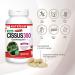 Nutridom Cissus Quadrangularis Supplement - Standardized to Contain 2.5% Keto-Steroids - Healthy Weight Management and Joint Health Support - Non-GMO Gluten Free Dairy & Soy Free Vegetable Capsules (120 Count) - Buy Online on GoSupps.com