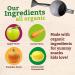 Peter Rabbit Organics Apple Carrot Pumpkin Puree - 4.4 oz Pouches (Pack of 10) | Organic Baby Food - Buy Online on GoSupps.com