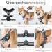 Rabbitgoo No-Pull Dog Harness for Medium & Large Dogs - Adjustable Breathable Control Harness with Reflex Stripes - Safe & Comfortable Gray Design (1 Pack) - Buy Online on GoSupps.com