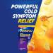 Theraflu Nighttime Severe Cold Relief Powder - Honey Lemon Flavor | 6 Ct - Fast International Shipping - Buy Online on GoSupps.com