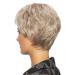 Degenhardt Wig DAVOS Deluxe Plus - High-Quality Synthetic Hair in Pearl Blonde | International Shipping Available - Buy Online on GoSupps.com