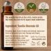 Gya Labs Vanilla Essential Oil Roll-On 10ml - Sweet & Floral Scent - Pack of 1 - Buy Online on GoSupps.com
