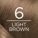 L'Oreal Paris Excellence Creme 6 Light Brown Permanent Hair Color Kit - Gray Coverage, Triple Care Formula - 1 Count - Buy Online on GoSupps.com