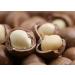 Buy MacadamiaS ns Bio Certified Macadamia Nuts | Natural & Unsalted | Whole Cores | 1 kg | Fairly Traded from Kenya - Buy Online on GoSupps.com