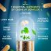 LetaGreen Sea Moss and Lion s Mane Bundle Wild Sea Moss Capsules and Lions Mane Supplement Capsules Mind Balance & Daily Wellness 240 Count Plant-Based Supplement - Buy Online on GoSupps.com