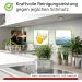 Biohy Glaskeramik Hob Field Cleaner - 3 x 1L Kitchen Ceranfeldreiniger | Scratch-Free High Gloss Fat Solder | Biodegradable Kitchen Cleaner Supplement - Buy Online on GoSupps.com
