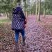 BundleBean Babywearing Fleece Lined Cover - Waterproof Sling and Carrier Cover (Gold Bees) - Buy Online on GoSupps.com