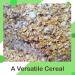 Confectious Gluten-Free Rolled Scottish Oats 100% Natural No additives or Preservatives for Porridge & Cooking 1kg - Buy Online on GoSupps.com