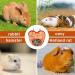 Rabbit Hay Feeder Guinea Pig Hay Rack Manger Holder Hanging Feeding Storage Made of Oxford Cloth For Rabbits Guinea Pigs Ferrets and Other Small Animals (Orange) - Buy Online on GoSupps.com