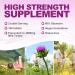 Milk Thistle Tablets 4000mg - 180 Vegan Tablets - Liver Support Supplement with 80% Silymarin - Made in UK - Buy Online on GoSupps.com