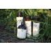 ecoLove Natural Moisturizing Body Wash - Vegan Cucumber Shower Gel for Dry Skin, 17.6 oz - SLS & Paraben Free - Buy Online on GoSupps.com
