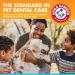 Arm & Hammer Fresh Breath Dental Spray for Dogs - Mint 4 fl oz | Best Oral Care - Buy Online on GoSupps.com