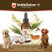 Veddelholzer 50 ml Natural Worm Liquid for Dogs - Effective Deworming Cure Against All Worms - Buy Online on GoSupps.com