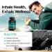 Premium Lung Support Supplement | Detox & Cleanse with Mullein Leaf NAC Quercetin & More | 60 Capsules for Respiratory Health - Buy Online on GoSupps.com
