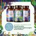 Buy Functional Vital Mushrooms - Alpha Foods | Maitake Shiitake Chaga Cordyceps Reishi Lion's Mane - 60 HPCL Tested Capsules - Buy Online on GoSupps.com