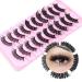PearlGirl False Eyelashes Russian Strip Lashes D Curl Fluffy Wispy Natural Cat Eye Look Like Fake Eyelash Extensions 10 Pairs Multipack (D Curl- 5 Styles01)