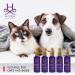 Hydra Forever Love Pet Cologne 4.4oz - Grooming Spray for Dogs and Cats | Finishing Cologne | Long-Lasting Fragrance - Buy Online on GoSupps.com