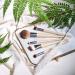 EcoTools 5-Piece Brush Set with Storage Tray - Start Your Day Beautifully - Buy Online on GoSupps.com