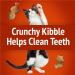 Friskies Party Mix Cat Treats Gravy-Licious Crunch Chicken and Gravy - 454 g Cannister (1 Pack) & Party Mix Cat Treats Mixed Grill Crunch with Real Chicken - 454 g Cannister (1 Pack) 454 g (Pack of 1) Cat Treats+ 454 g (Pack of 1) - Buy Online on GoSupps.com