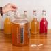 Organic 1-Gallon Kombucha Brewing Starter Kit with SCOBY, Starter Tea, Thermometer, pH Strips & More - Buy Online on GoSupps.com