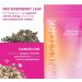 Pink Stork Postpartum Bundle: Postpartum Recovery & Mood Support Postnatal Vitamins for Breastfeeding & Lactation Support Healthy Mood & Hormone Balance for Women with Ashwagandha Women-Owned - Buy Online on GoSupps.com
