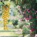 Cabilock 1 String Simulation to Japan Eucalyptus Flowers Decoration Sunflower Rattan Prop Vine - Buy Online on GoSupps.com