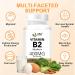 LIIFE High-Dose Vitamin B2 (Riboflavin) 400mg - 180 Vegan Capsules Energy Metabolism & Mucous Membrane Support Skin Health Supports Migraine Relief Gluten-Free Non-GMO 180 Count (Pack of 1) - Buy Online on GoSupps.com