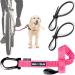 Bike and Dog - bicycle dogs toolless attachment special dishes as an option including 2 bicycle bands.Patented.(Pink) dog leash pink