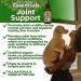 Animal Essentials Joint Support Supplement for Dogs and Cats 1oz - Alcohol-Free Pain Relief - Made in USA - Buy Online on GoSupps.com