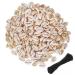 400PCS White 0.55-0.63 Natural Strong Cowrie Shell Beads Smooth Cut Oval Seashells  Beach Seashells with Big Hole for DIY Craft Jewelry Making  Adorning Hair Locks and Braids White  0.55-0.63  x 400pcs