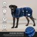 XL Blue Dog Drying Coat by The Wagging Tailor - Soft Microfibre Towelling - Adjustable Velcro Collar & Under Belly - Large Dog Jumper for Quick Drying - Buy Online on GoSupps.com