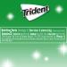 Trident White Spearmint Sugar Free Gum 144 Pieces - 9 Packs - Buy Online on GoSupps.com