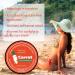 Buy Carrot Tanning Gel & Cream | Natural Outdoor Self Tanner | Intense Sun Tanning Oil - Buy Online on GoSupps.com